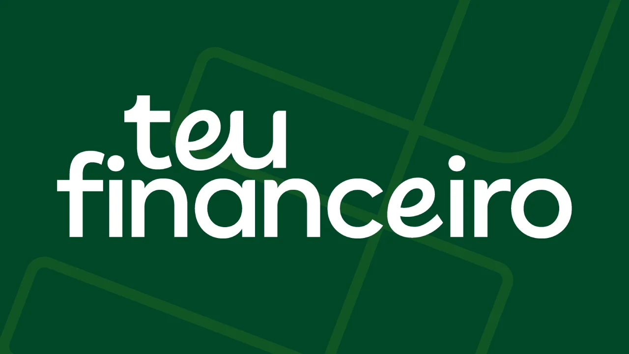 Teu Financeiro Ltda